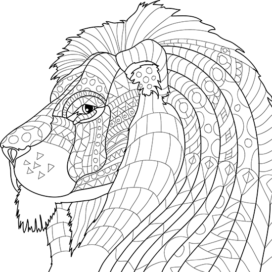 Animal Coloring Pages For Adults 550x550 Animal Coloring Pages For Adults