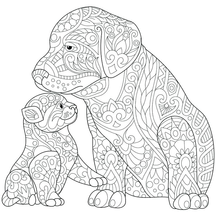 Black Lab Coloring Pages Black Lab Coloring Pages Adult Coloring 736x736 Black Lab Coloring Pages Black Lab Coloring Pages Adult Coloring