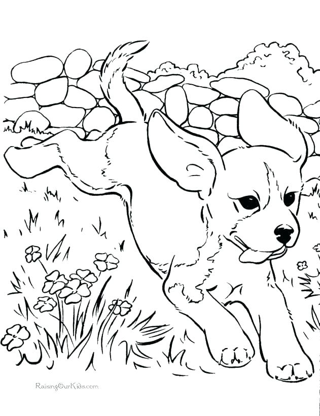 Dog Coloring Pages Dog Coloring Pages For Adults Packed With Free 631x820 Dog Coloring Pages Dog Coloring Pages For Adults Packed With Free