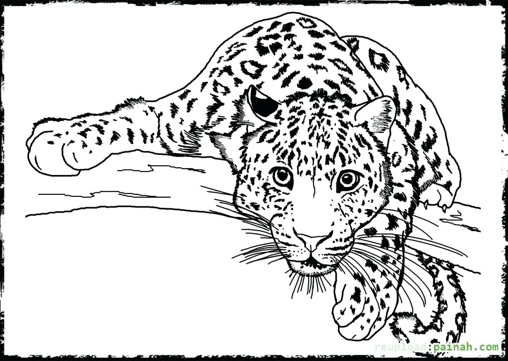 Printable Animals Coloring Pages Free Printable Animal Coloring 1024x728 Printable Animals Coloring Pages Free Printable Animal Coloring