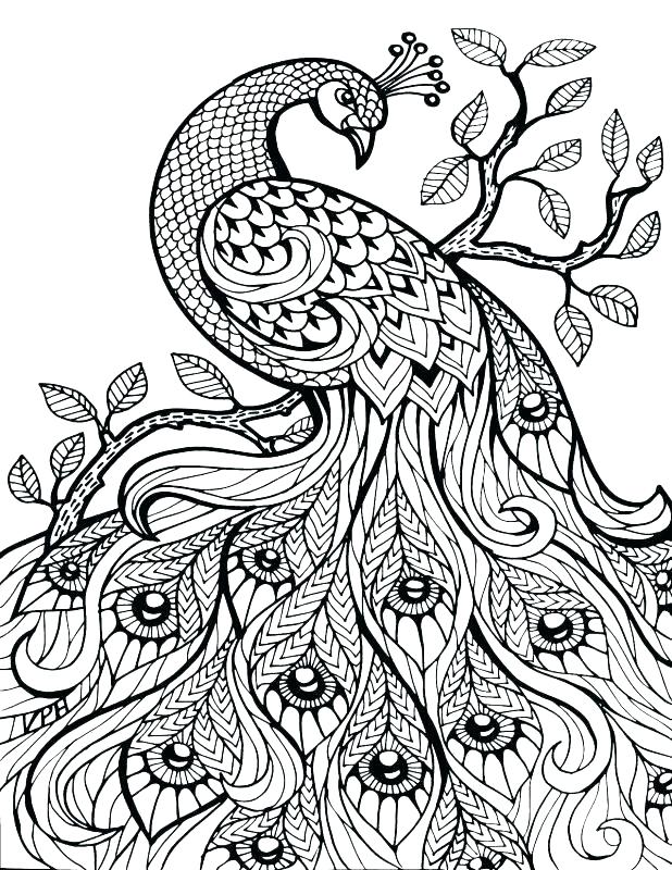 Animal Coloring Pages For Adults Printable Coloring Pages Hard 618x800 Animal Coloring Pages For Adults Printable Coloring Pages Hard