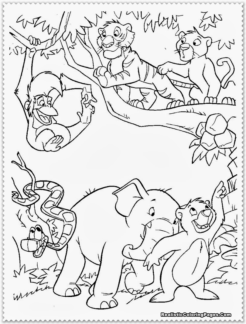 810x1066 Safari Animals Coloring Pages