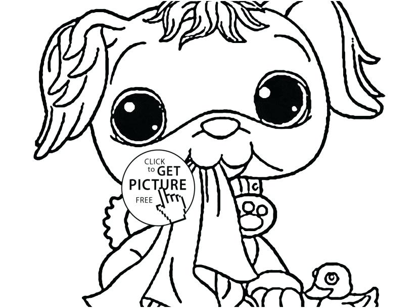 827x609 Sea Animals Coloring Pictures Animals Coloring Pages Collection