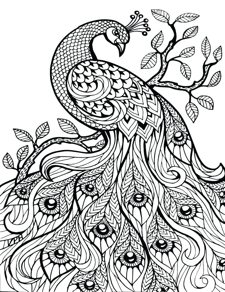 736x952 Animal Mandala Coloring Pages