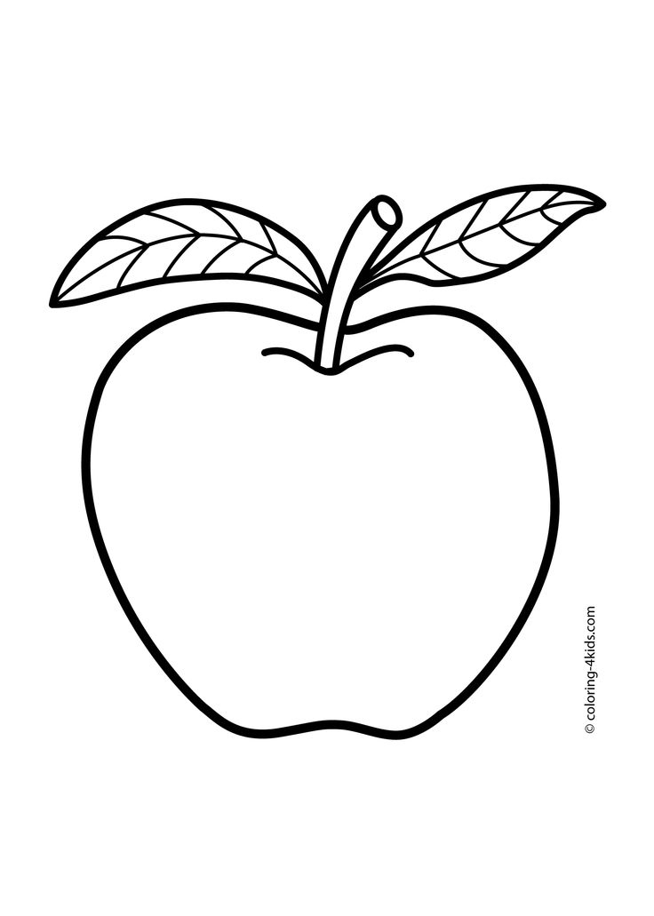 736x1031 Apple Coloring Pages For Kids (Fruits Coloring Pages, Printables