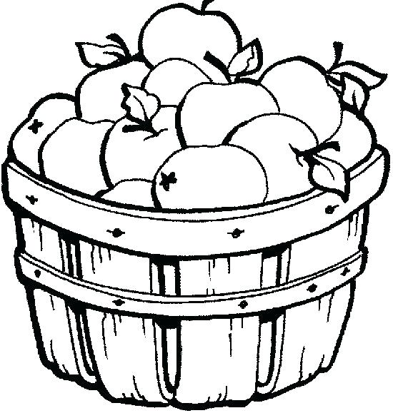 550x579 Apple Tree Coloring Page Apples Coloring Pages Apple Basket