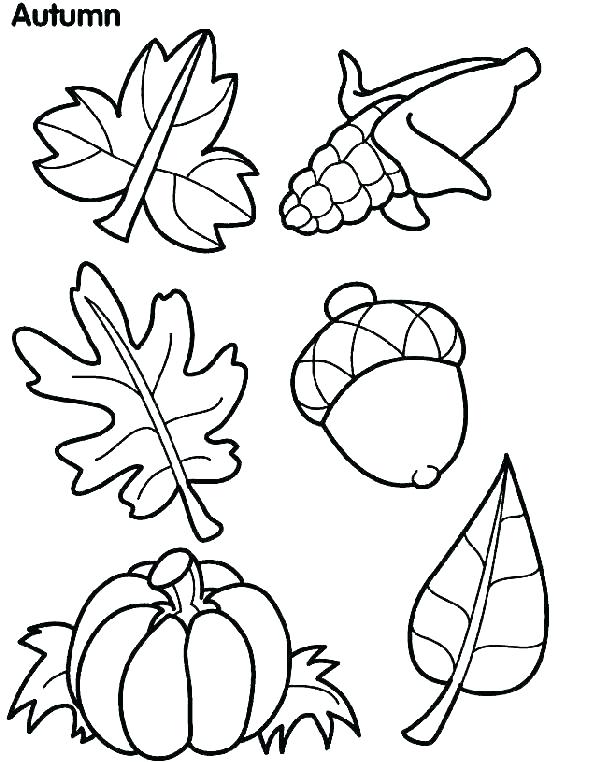 Leaf Coloring Pages Printable Fall Coloring Pages For Preschoolers 601x762 Leaf Coloring Pages Printable Fall Coloring Pages For Preschoolers