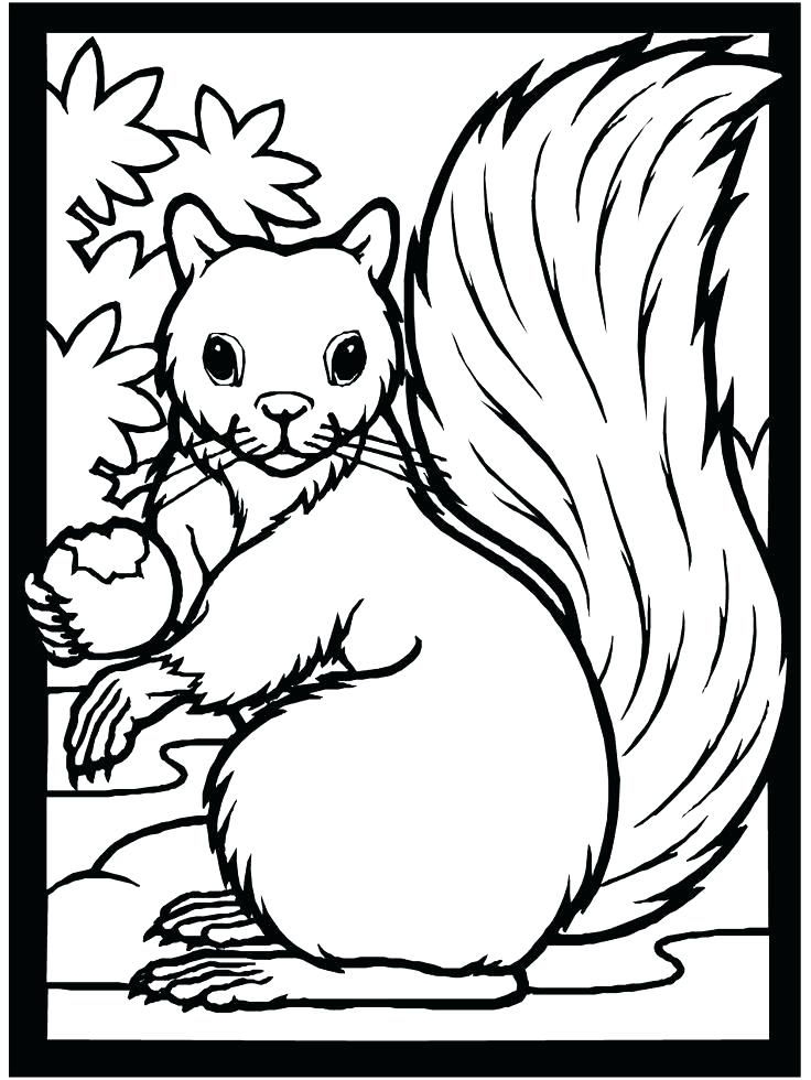 Free Coloring Pages Fall 736x980 Free Coloring Pages Fall