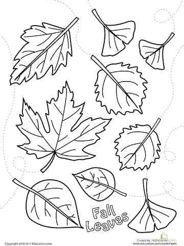 Coloring Pictures For Fall Fall Leaves Printable Coloring Page 360x480 Coloring Pictures For Fall Fall Leaves Printable Coloring Page