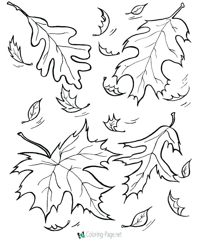 Fall Coloring Pages Printable Free Free Autumn And Fall Coloring 670x820 Fall Coloring Pages Printable Free Free Autumn And Fall Coloring
