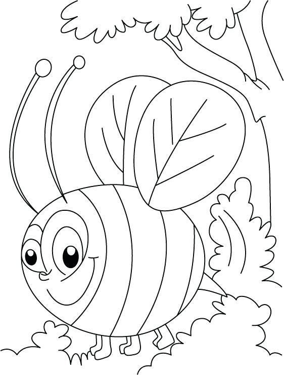 562x740 Bees Coloring Pages Bee Coloring Page For Kindergarten Bee