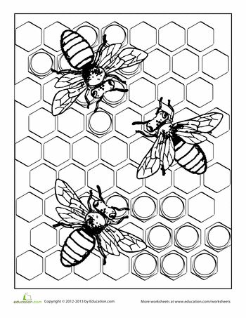 350x453 Free Coloring Pages Orangeroof Zoo