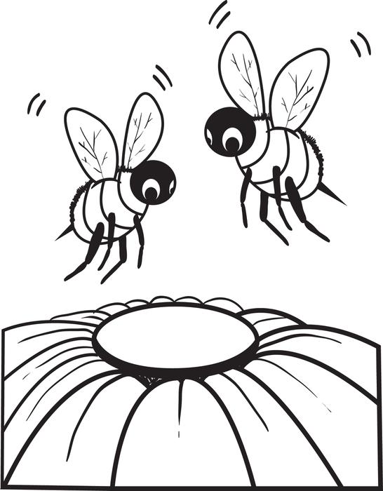 546x700 Bee And Flower Coloring Pages