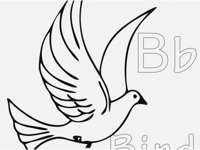 Bird Coloring Pages Photographs 20 Free Bird Coloring Pages 640x480 Bird Coloring Pages Photographs 20 Free Bird Coloring Pages