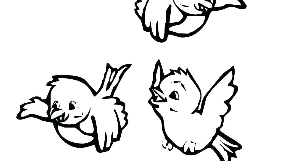 Bird Nest Coloring Page Free Bird Coloring Pages Free Bird 960x544 Bird Nest Coloring Page Free Bird Coloring Pages Free Bird