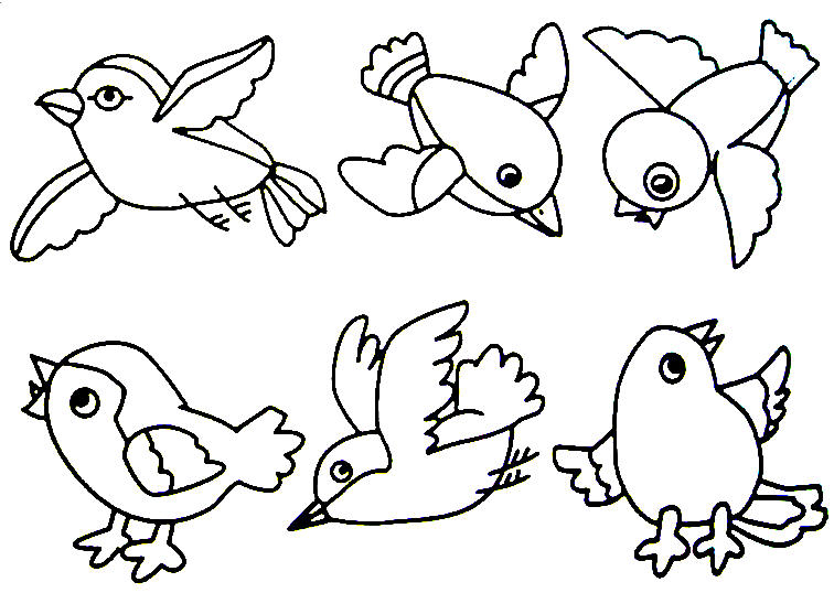 Free Bird Coloring Pages Fun Time 756x538 Free Bird Coloring Pages Fun Time