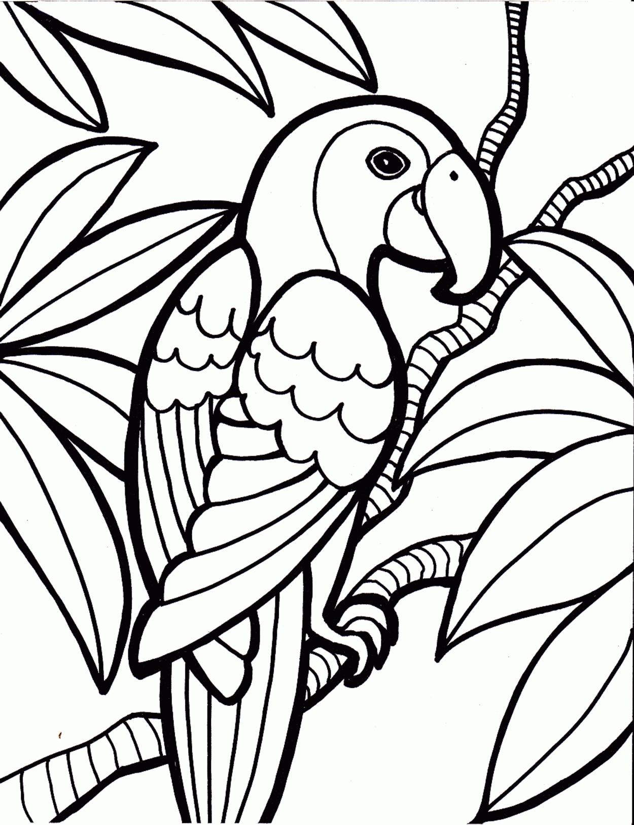 Awesome Bird Coloring Page Design Printable Coloring Sheet 1250x1626 Awesome Bird Coloring Page Design Printable Coloring Sheet