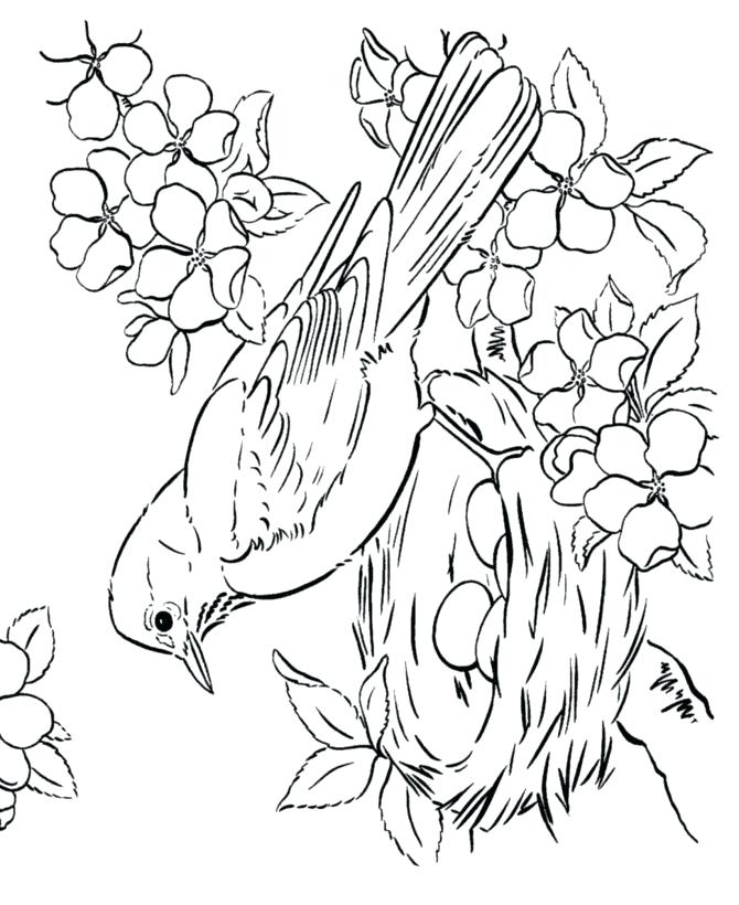 Bird Coloring Page Best Bird Coloring Pages Ideas On Flower New 670x820 Bird Coloring Page Best Bird Coloring Pages Ideas On Flower New