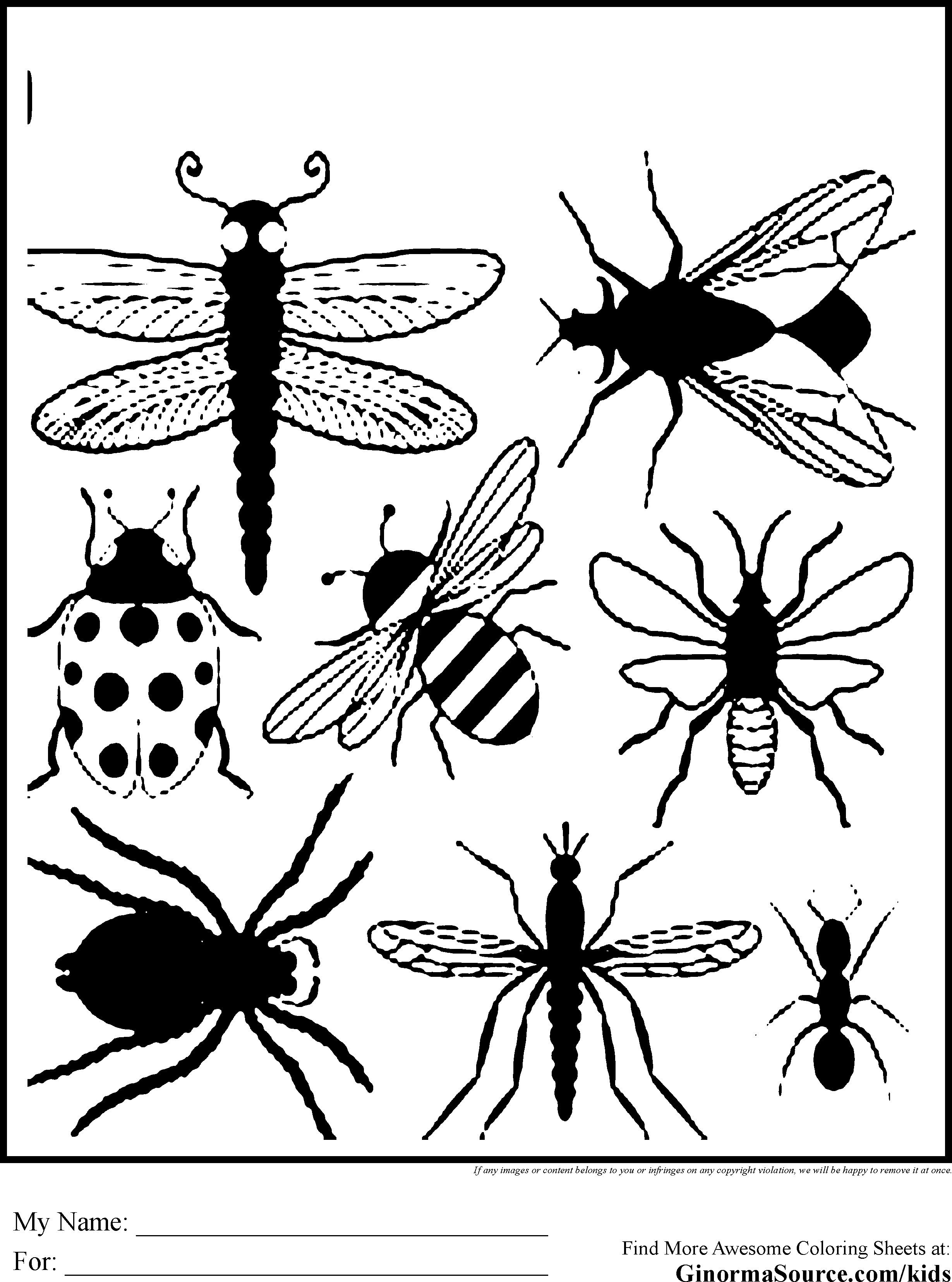Free Bug Coloring Pages
