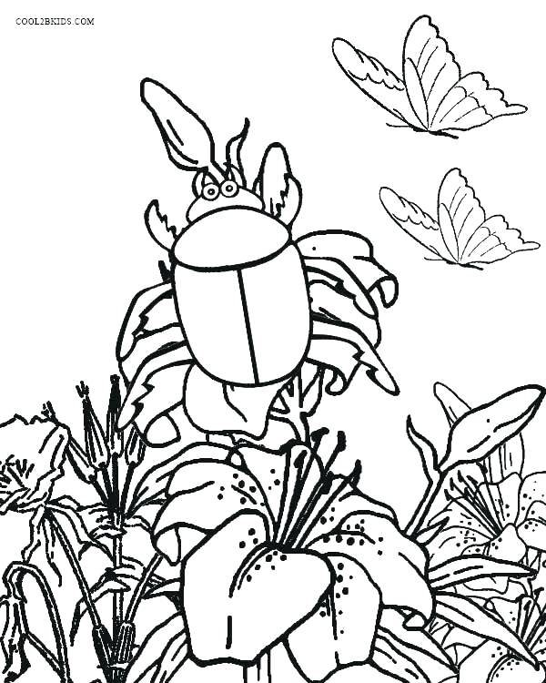 Coloring Bugs Insect Coloring Page Garden Bugs Coloring Pages 600x750 Coloring Bugs Insect Coloring Page Garden Bugs Coloring Pages