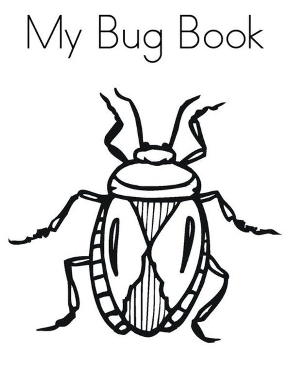 Coloring Pages Insects Insect Page Free Printable Ant 600x776 Coloring Pages Insects Insect Page Free Printable Ant