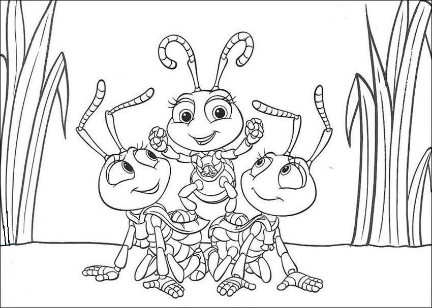 Insect Coloring Pages 850x607 Insect Coloring Pages