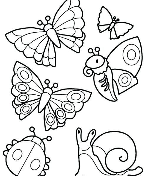 Insect Coloring Pages For Toddlers Insect Coloring Pages Insect 520x600 Insect Coloring Pages For Toddlers Insect Coloring Pages Insect