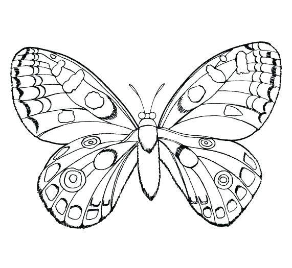 Insects Coloring Pages Bugs And Insects Coloring Pages Printable 571x525 Insects Coloring Pages Bugs And Insects Coloring Pages Printable