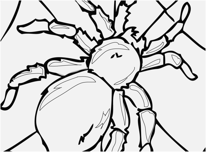 Printable Coloring Pages Vw Bug Shoot Insect Coloring Pages 7730 827x609 Printable Coloring Pages Vw Bug Shoot Insect Coloring Pages 7730