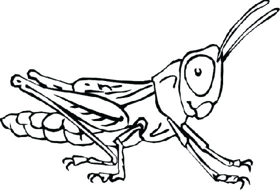 Bug Coloring Sheets Free Coloring Bug Coloring Sheets Printable 561x380 Bug Coloring Sheets Free Coloring Bug Coloring Sheets Printable