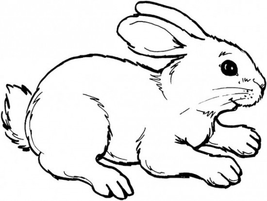 550x413 Great Bunny Coloring Pages To Print
