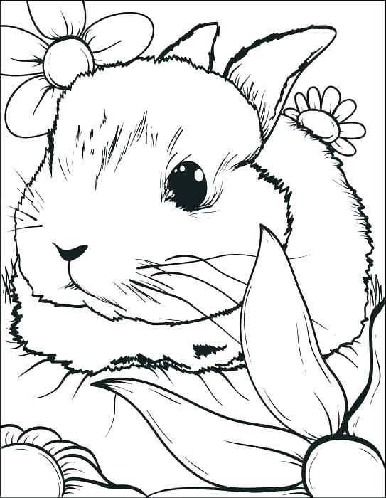 543x700 Rabbit Colouring Pages Printable Free Rabbit Coloring Pages Bunny