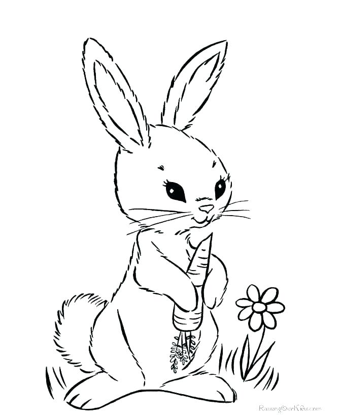 670x820 Free Bunny Coloring Pages