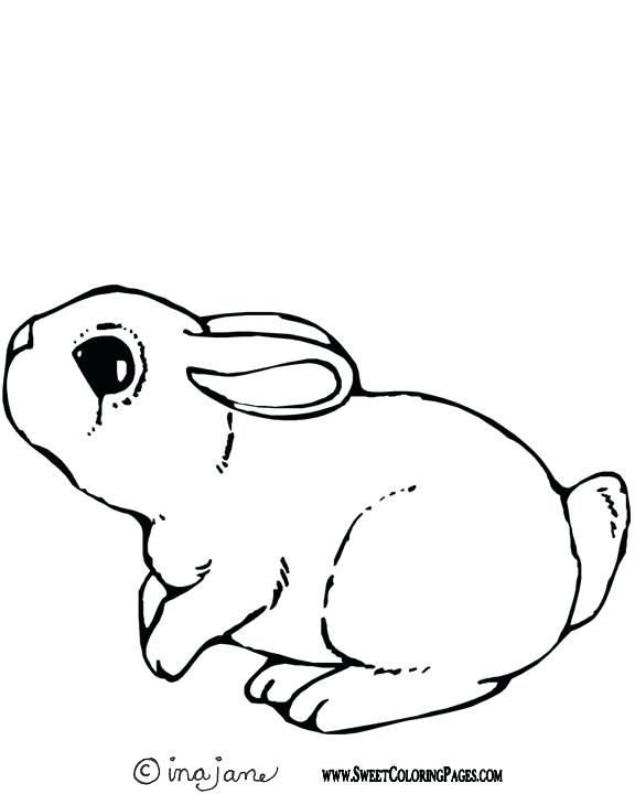 576x720 Bunny Coloring Page Show Me More Bunny Pic Colouring Pages Free