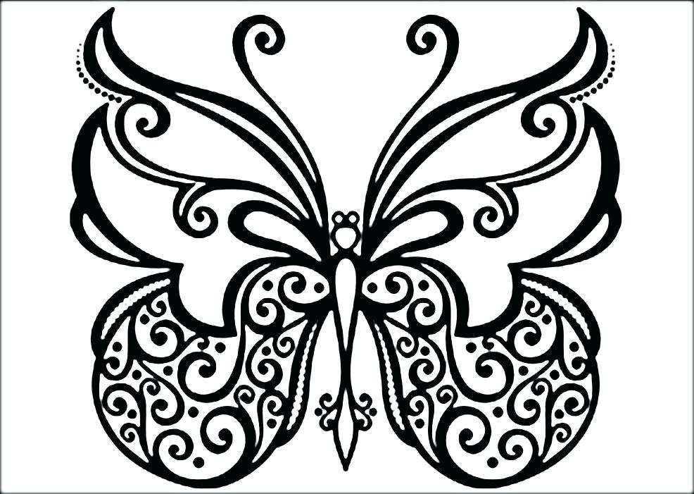 986x701 Coloring Pages Butterflies Butterfly And Flower Coloring Pages