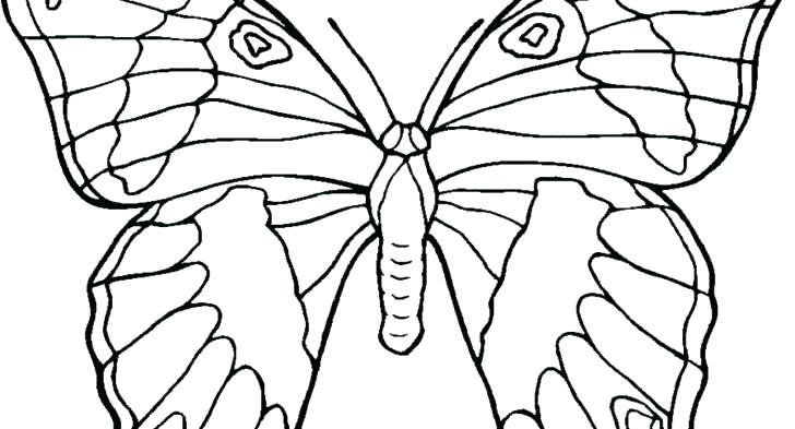 728x393 Coloring Pages Flowers And Butterflies Printable Coloring Pages