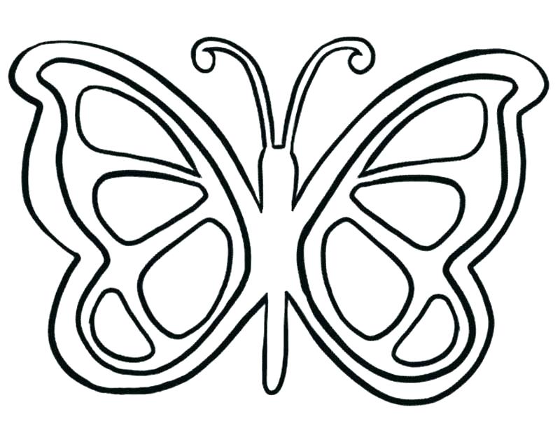 800x635 Coloring Pages Of Butterflies Coloring Pages Butterflies Butterfly