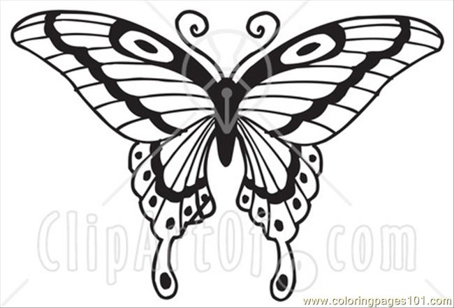 650x442 E Asian Swallowtail Butterfly Coloring Page
