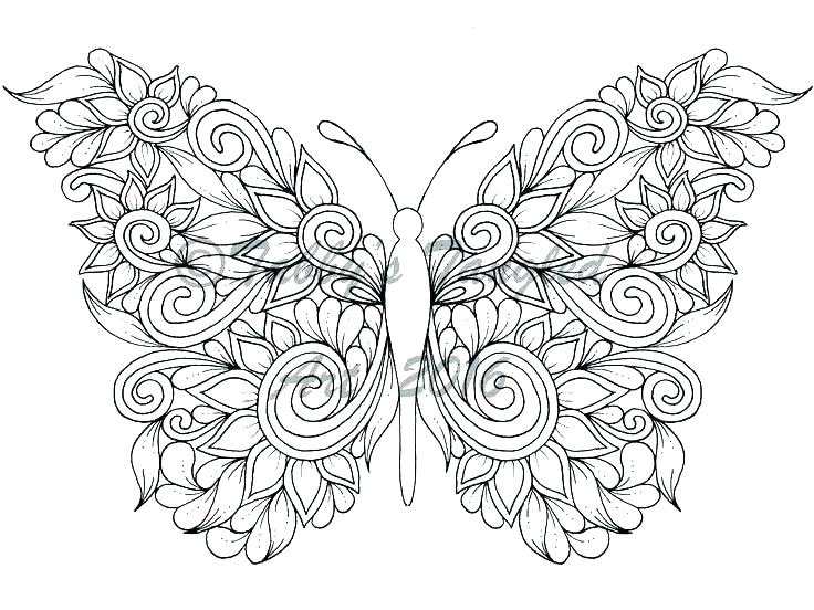 736x552 Butterflies Coloring Page Butterflies Coloring Free Coloring Pages