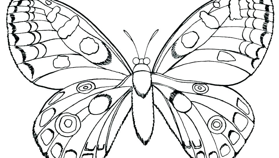 960x544 Free Printable Butterfly Coloring Pages Coloring Pages Butterflies