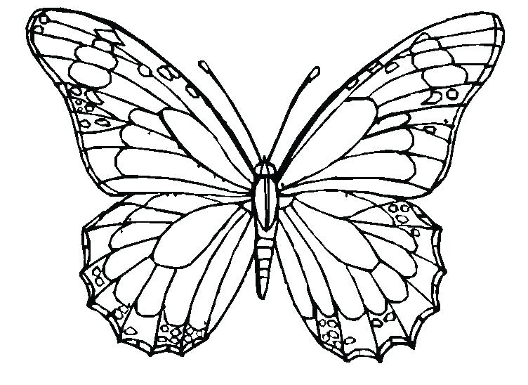 Butterfly Coloring Pages Adults Butterfly Coloring Pages 752x548 Butterfly Coloring Pages Adults Butterfly Coloring Pages