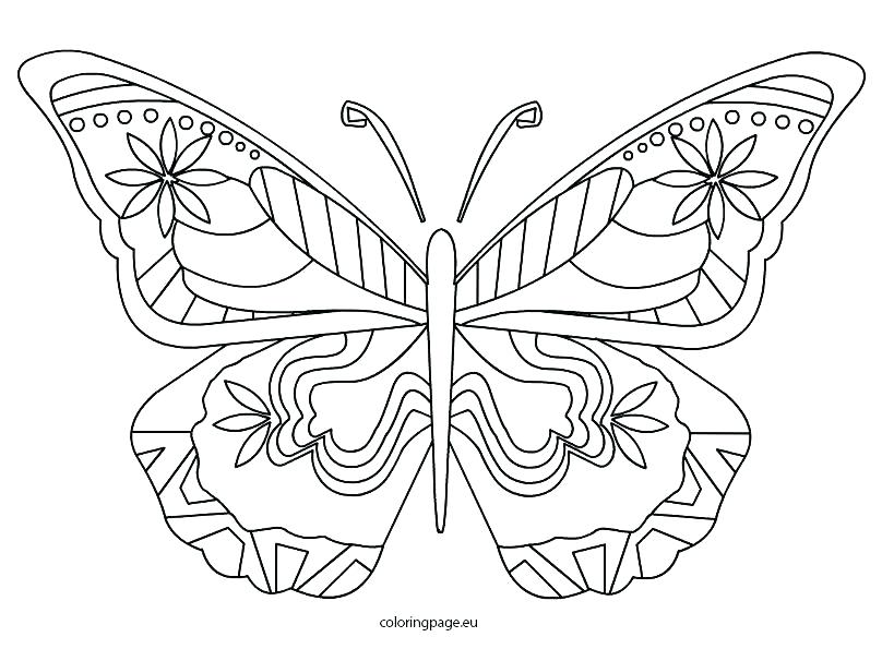 Butterfly Coloring Pages Free Coloring Pages Of Flowers 808x595 Butterfly Coloring Pages Free Coloring Pages Of Flowers