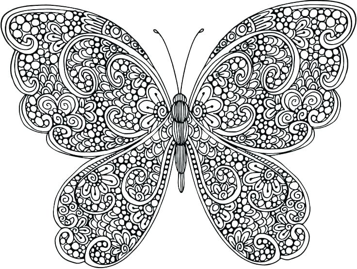 Butterfly Colouring Pages For Adults Beautiful Coloring Preschool 736x555 Butterfly Colouring Pages For Adults Beautiful Coloring Preschool