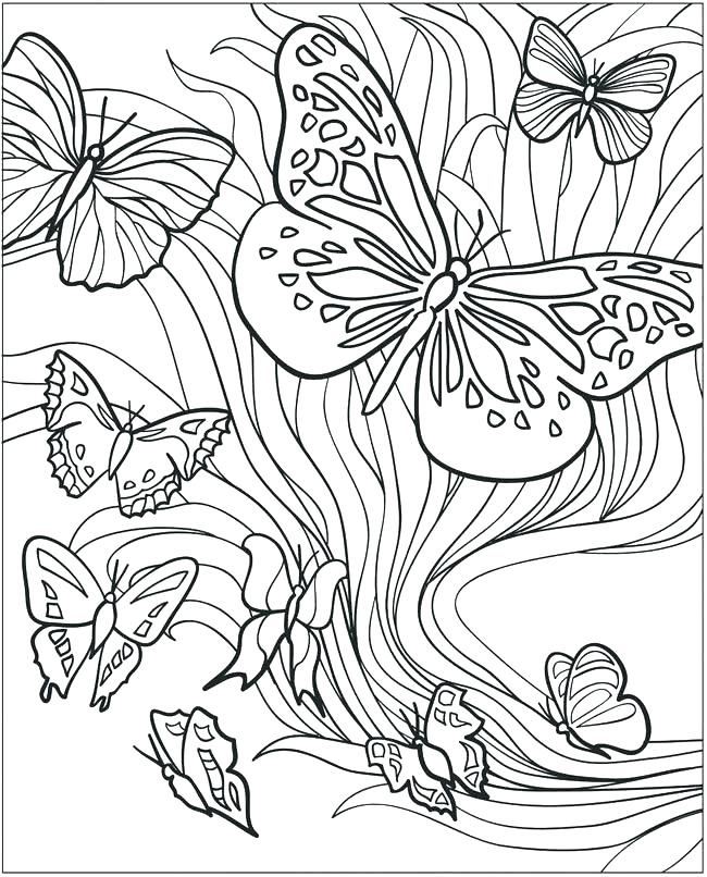 Free Butterfly Coloring Pages Free Butterfly Coloring Pages 650x806 Free Butterfly Coloring Pages Free Butterfly Coloring Pages