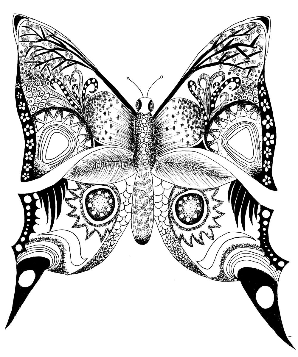 New Easy Butterfly Adult Coloring Pages Design Printable 1000x1200 New Easy Butterfly Adult Coloring Pages Design Printable