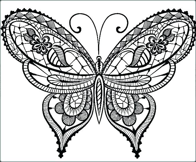 Butterflies Coloring Pages Free Butterfly Coloring Pages 4 678x562 Butterflies Coloring Pages Free Butterfly Coloring Pages 4