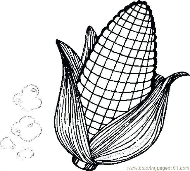 Corn Coloring Pages Printable Corn Coloring Pages Printable Free 650x586 Corn Coloring Pages Printable Corn Coloring Pages Printable Free