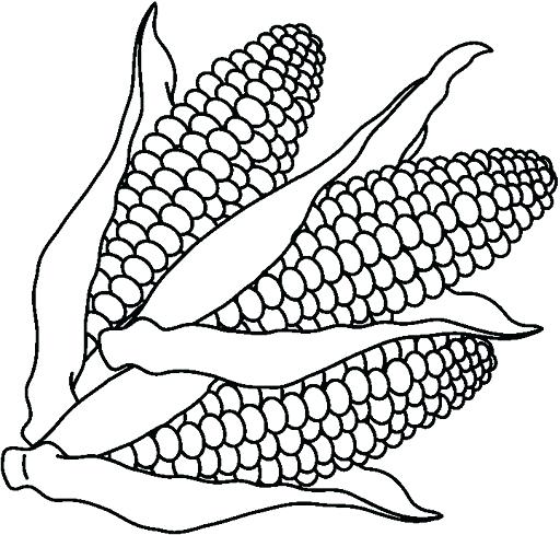 Corn Coloring Pages Christian Candy Corn Coloring Page Pages 512x489 Corn Coloring Pages Christian Candy Corn Coloring Page Pages