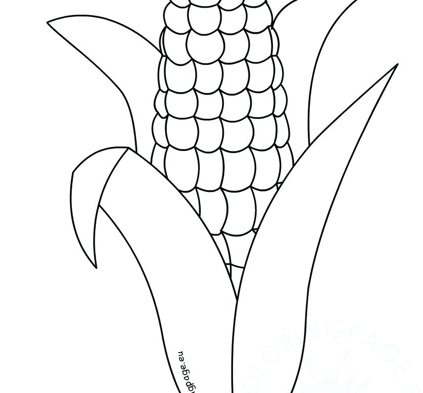 Exciting Symmetrical Coloring Pages 826x768 Exciting Symmetrical Coloring Pages