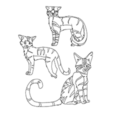 230x230 Top 25 Free Printable Warrior Cats Coloring Pages Online